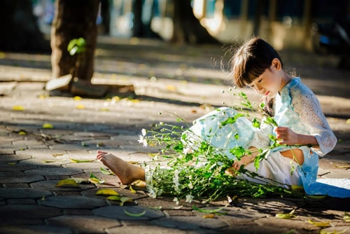 Bé gái hà nội đẹp mong manh trong mùa cúc họa mi - 7