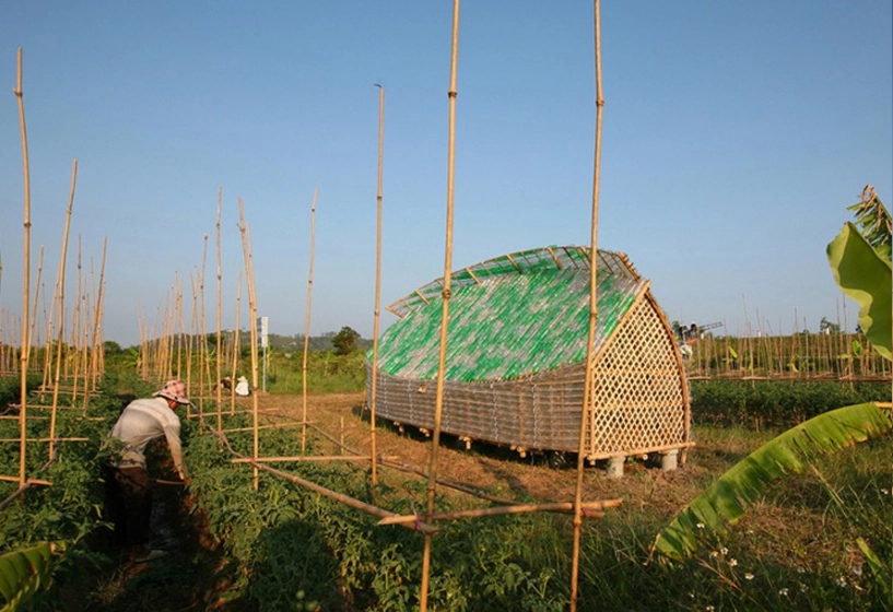 Hải phòng nhà ươm rau siêu chất từ tre và chai nhựa - 8