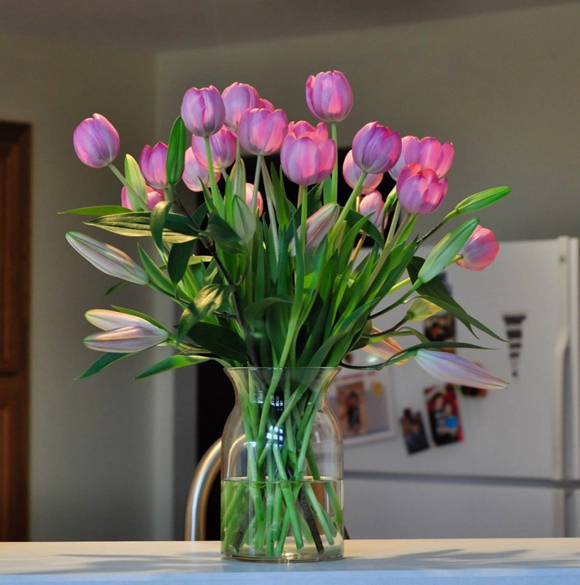 Mê mẩn tài cắm hoa tulip của mẹ bầu việt ở mỹ - 7
