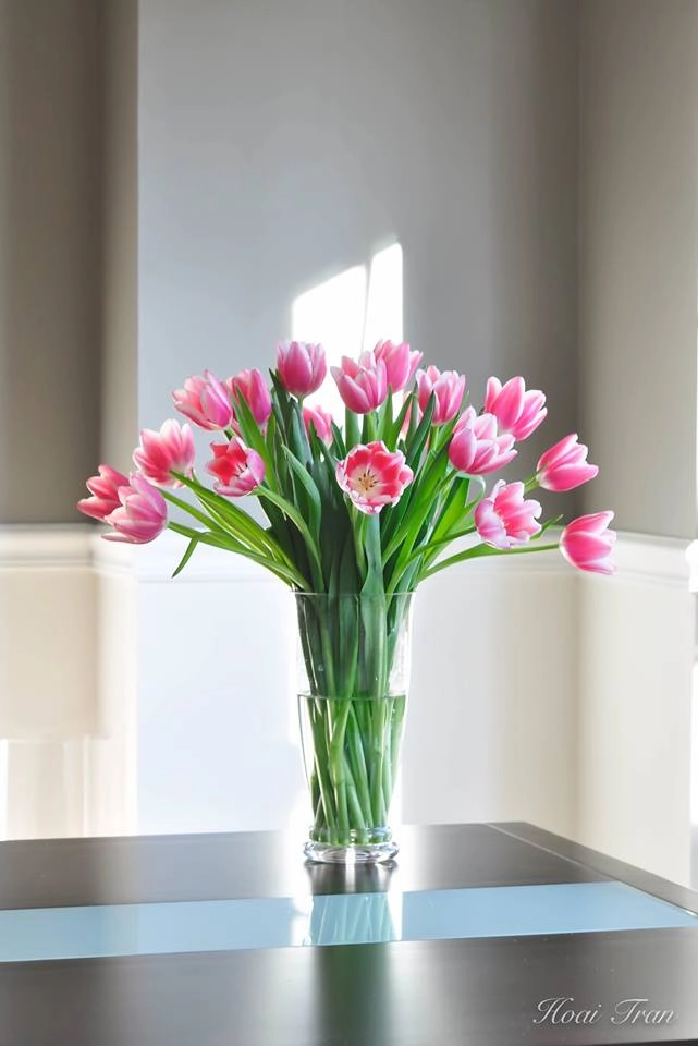 Mê mẩn tài cắm hoa tulip của mẹ bầu việt ở mỹ - 8
