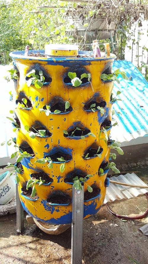 Mẹ trẻ 2 con hào hứng làm tháp trồng rau trên sân thượng - 4