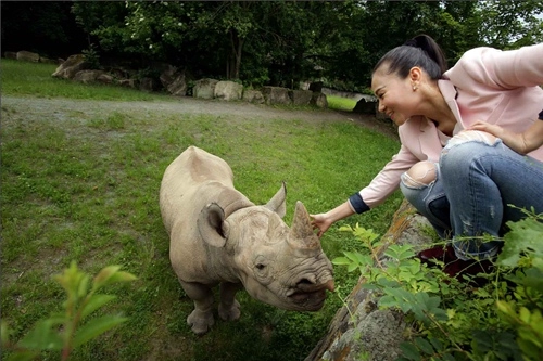 Thu minh đi thăm tê giác tại vườn thú ở cộng hòa czech - 2