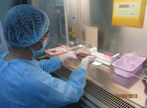  khó xét nghiệm người hiến tế bào gốc cứu cô gái gốc việt - 2