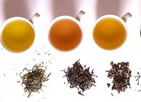  trà ô long trung quốc bị thu hồi vì nhiễm thuốc trừ sâu - 1