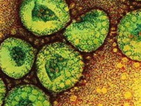  virus mới giống sars xuất hiện người lành mang trùng - 1