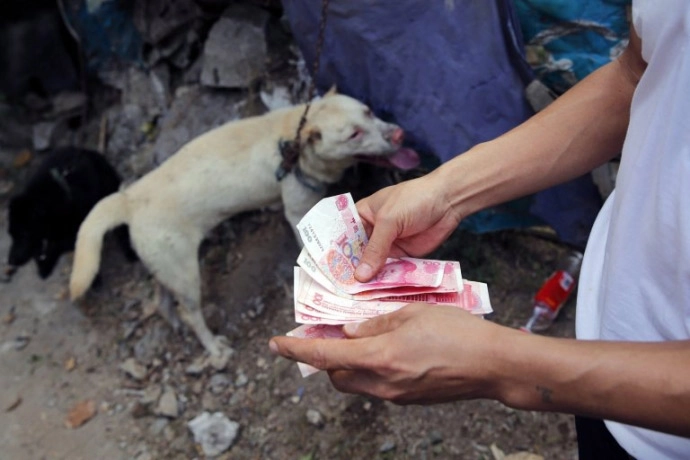 Xót thương 10000 chú chó chờ chết tại lễ hội thịt chó trung quốc - 10