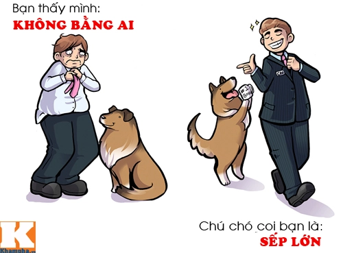 10 bí mật không ngờ khi chó cưng nghĩ về con người - 3