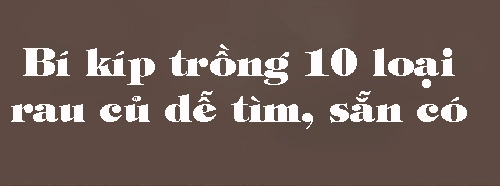 10 loại rau củ trồng từ gốc bỏ đi lớn nhanh vùn vụt ăn cả năm chả hết - 1