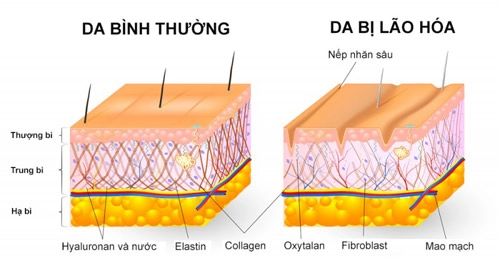 Baby face - trắng sáng trẻ hóa da như em bé - 4