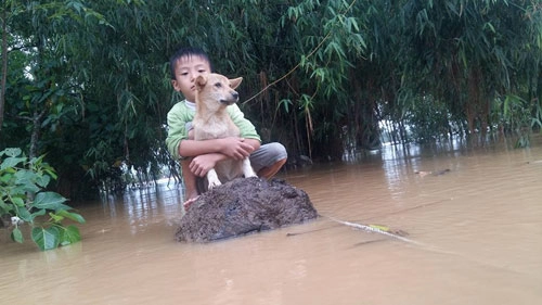 Bơi ra dòng nước lũ cứu chó nhưng không thể vào bờ chú bé 6 tuổi bật khóc - 1