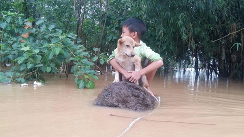 Bơi ra dòng nước lũ cứu chó nhưng không thể vào bờ chú bé 6 tuổi bật khóc - 2