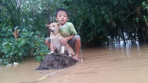 Bơi ra dòng nước lũ cứu chó nhưng không thể vào bờ chú bé 6 tuổi bật khóc - 3