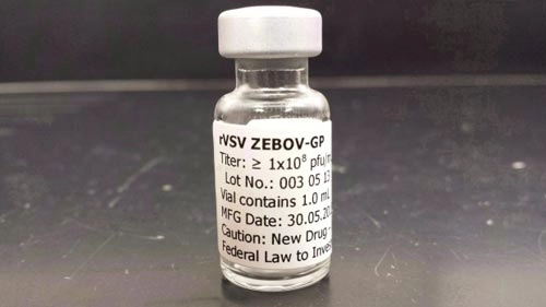 Canada công bố kết quả thử nghiệm vắc-xin ebola đầy hứa hẹn - 1