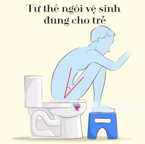 Chỉ vì chiếc bồn cầu con có nguy cơ bị ung thư đại tràng - 11