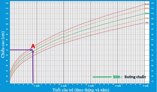 Chuyên gia việt tại anh mách cách kéo dài chiều cao cho trẻ - 1