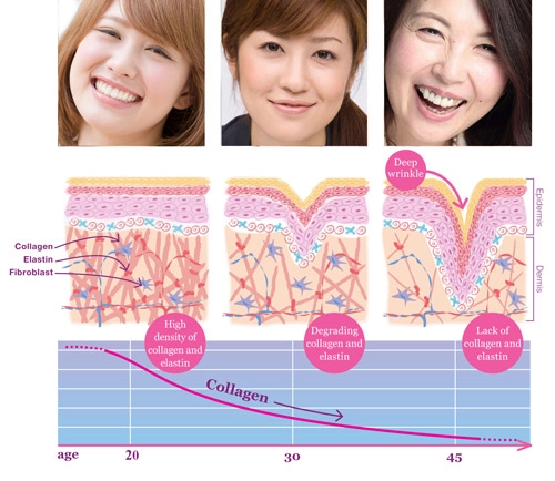 Collagen dùng nhiều sao vẫn kém hiệu quả - 2