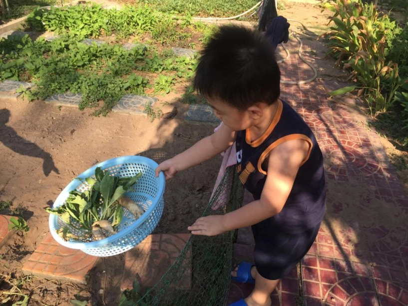 Con trai lê phương trồng rau bắt sâu con hồng nhung lội bùn cấy lúa - 2