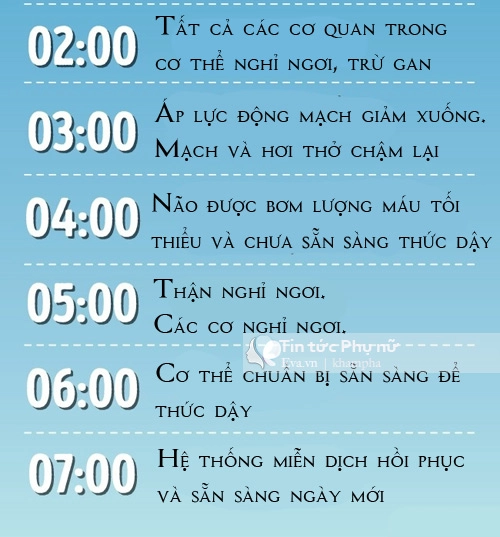 Đây là lí do quan trọng mẹ cần để trẻ ngủ trong bóng tối - 3