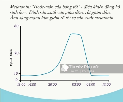 Đây là lí do quan trọng mẹ cần để trẻ ngủ trong bóng tối - 4