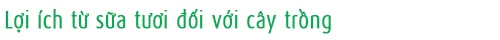 Đừng đổ sữa đã hết hạn đi vì chúng tốt đến nhường này - 3