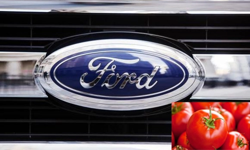  ford sử dụng cà chua làm phụ tùng ôtô - 1