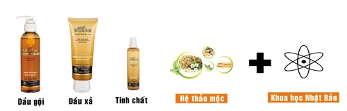 Giải pháp mới ngăn rụng tóc bằng tinh chất - 3