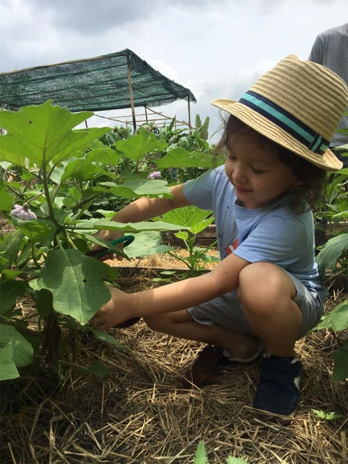 Hai con hồng nhung thích thú khám phá công việc làm vườn - 1