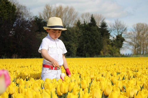 Hai thiên thần lai gốc việt bên cánh đồng hoa tulip đẹp như tranh - 14