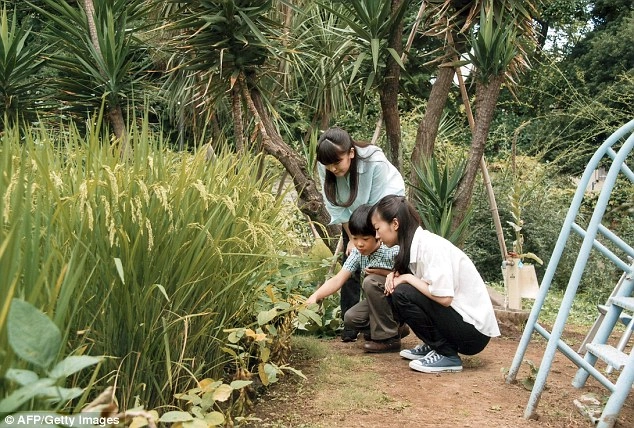 Hoàng tử nhật học trường bình dân tự tay cuốc đất khiến cả thế giới ngưỡng mộ - 4