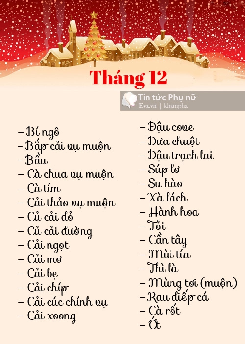 Lịch trồng rau trong thùng xốp đủ cho gia đình 6 người ăn suốt tháng 1112 - 2