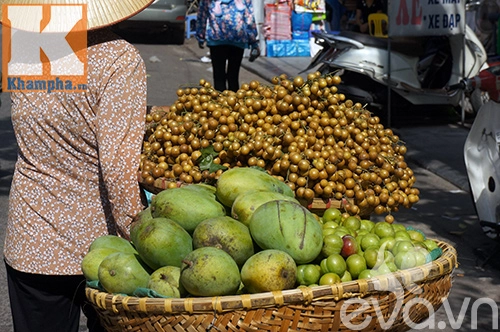 Mùa quất hồng bì thơm lừng từng con phố thủ đô - 4