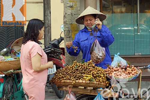 Mùa quất hồng bì thơm lừng từng con phố thủ đô - 6