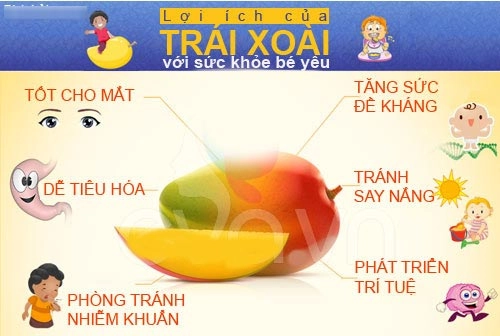 Mùa xoài chín tự làm kem ở nhà cho bé như mẹ tombinbon - 1