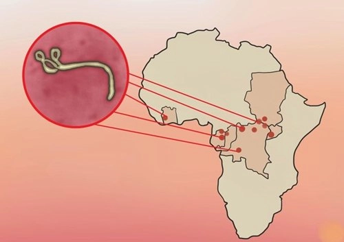 Những điều mẹ cần biết để ngăn ngừa ebola - 2