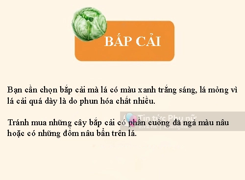 Tổng hợp các cách chọn rau củ quả tươi ngon không lo hóa chất - 11