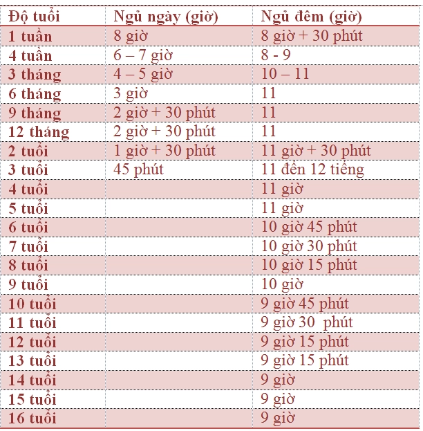 Vì sao những đứa trẻ ngủ trước 8 giờ tối luôn đạt chuẩn cân nặng - 3