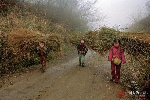 Xúc động hình ảnh mẹ cụt 2 tay oằn lưng cho con bú - 2