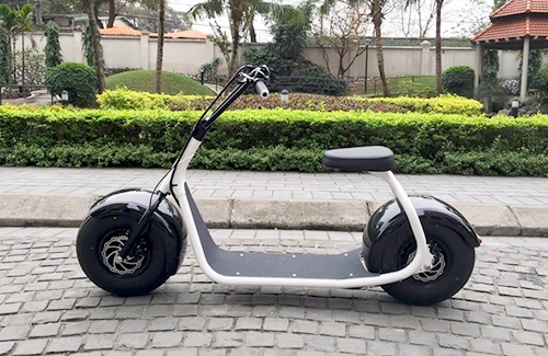  scooter hàng độc xuất hiện tại việt nam - 1