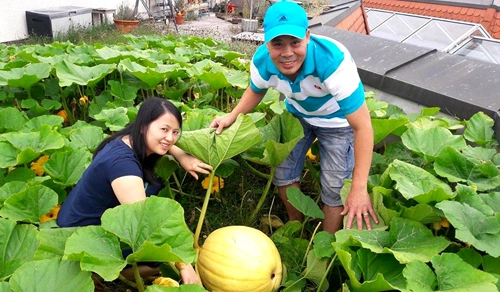  thiên đường trên nóc nhà của anh đầu bếp việt ở đức - 1