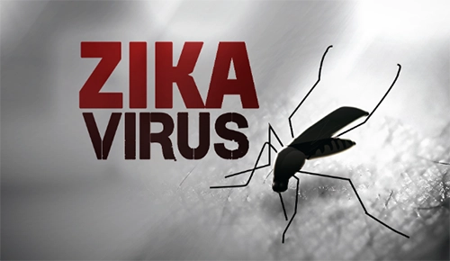 Không hạn chế du lịch đến tp hcm và khánh hòa dù xuất hiện zika - 1