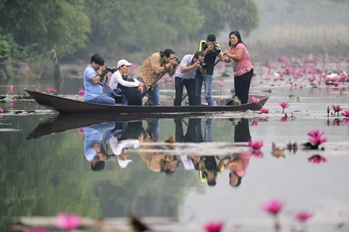 Người hà nội nô nức lên suối yến chụp ảnh với thiên đường hoa súng - 11