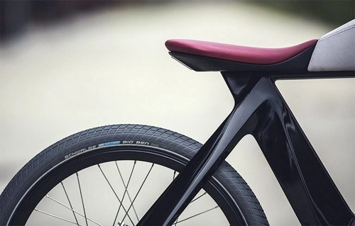  xe đạp điện spa bicicletto - 10