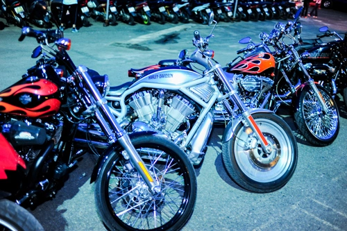  dàn harley-davidson tụ hội ở sài gòn - 8