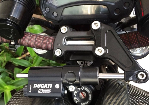  thợ sài gòn vẽ ducati monster rằn ri lạ mắt - 7