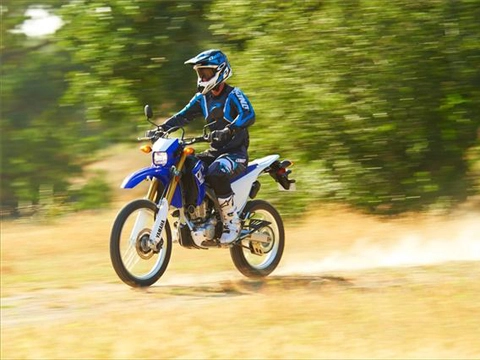  cào cào yamaha wr250r 2013 trình làng - 1