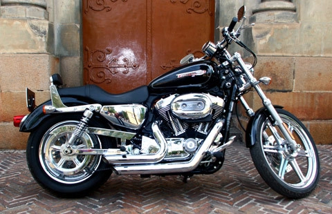  harley davidson xl1200 sói hoang trên phố sài gòn - 1