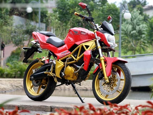  honda tiger độ phong cách streetfighter - 1