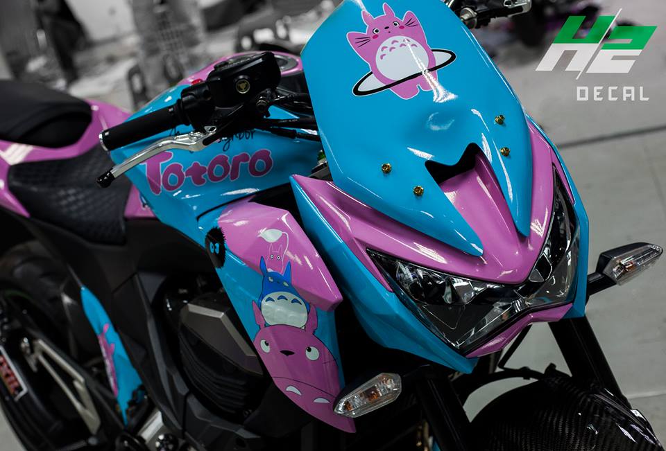 Kawasaki z800 phong cách totoro ngộ nghĩnh - 2