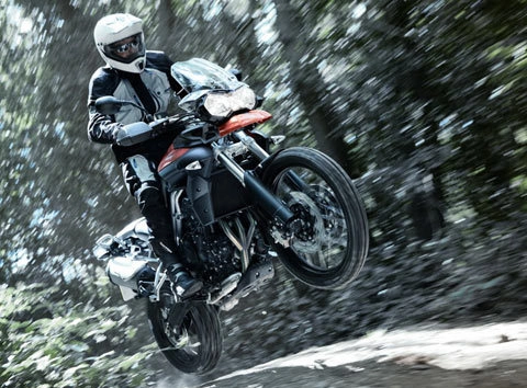  tiger 800 hổ dữ triumph 2011 - 1