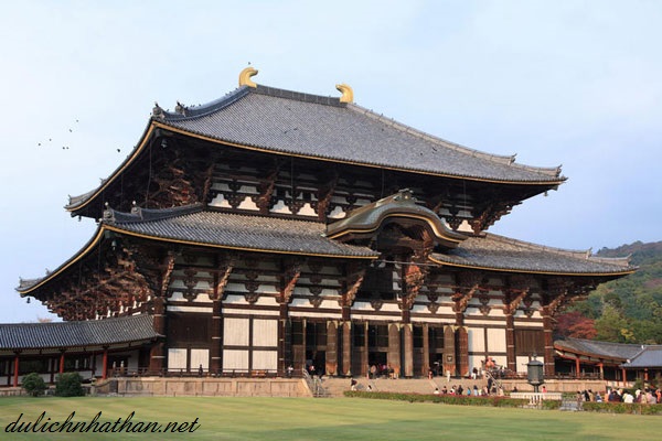 Tìm hiểu về chùa kofuku-ji ở nhật bản - 1